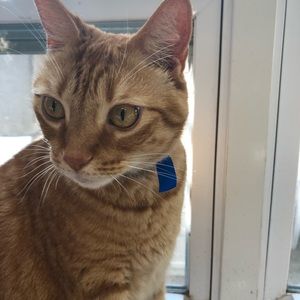 Meet your Posher, Laury